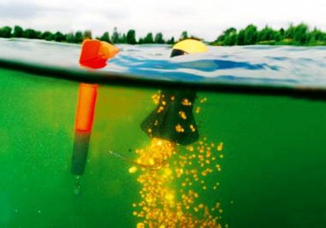 tehnici de pescuit la crap - rachetdendire.jpg